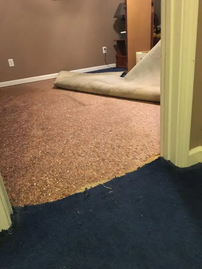 Carpet pad removal revealing water damage during Water Mitigation Services in Delavan
