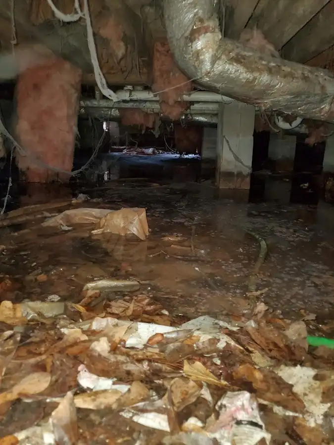 Crawl space flood assessment for Leak Detection & Repair in Delavan