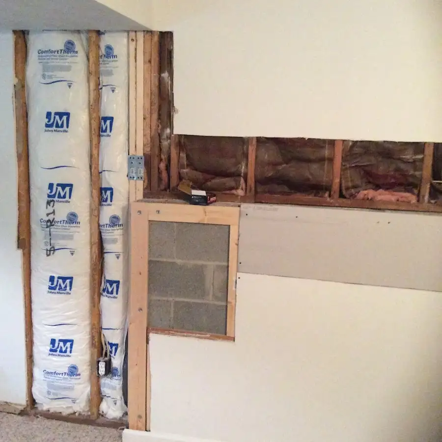 Wall insulation replacement during Odor Removal & Deodorization in Delavan